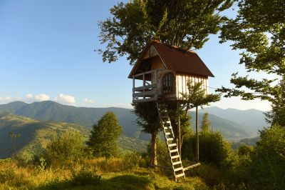 Treehouse Assembly